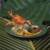 Alphonse Island Resort Deluxe 